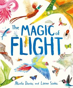 The Magic of Flight - Davies, Nicola