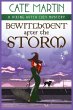 Bewitchment After the Storm - Bild 1
