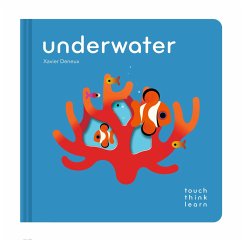 Touchthinklearn: Underwater - Deneux, Xavier