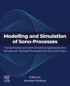 Modelling and Simulation of Sono-Processes