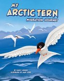 My Arctic Tern Migration Journey