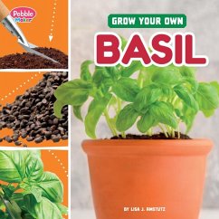 Grow Your Own Basil - Amstutz, Lisa J
