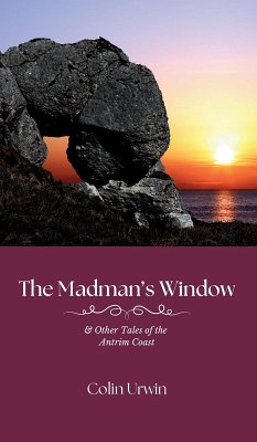 Cover The Madman's Window
