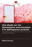 Une étude sur les dynamiques sous-jacentes à la délinquance juvénile