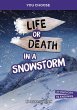 Life or Death in a Snowstorm - Bild 1