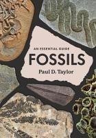 Fossils - Taylor, Paul D