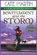 Bewitchment After the Storm - Bild 1