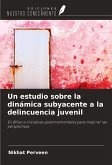 Un estudio sobre la dinámica subyacente a la delincuencia juvenil