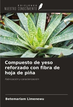 Compuesto de yeso reforzado con fibra de hoja de piña - Limenewu, Betemariam