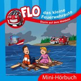 Sturm auf dem Waldsee (MP3-Download) Sturm auf dem Waldsee (MP3-Download)