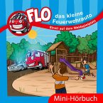 Streit auf dem Waldspielplatz (MP3-Download)