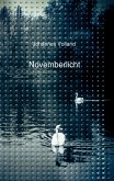 Novemberlicht (eBook, ePUB)