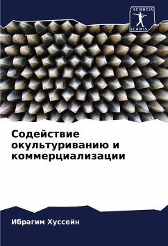 Sodejstwie okul'turiwaniü i kommercializacii - Hussejn, Ibragim