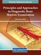 Principles and Approaches to Diagnostic... - Bild 1