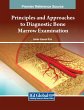 Principles and Approaches to Diagnostic... - Bild 1