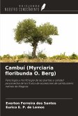 Cambuí (Myrciaria floribunda O. Berg)