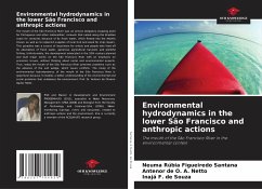Environmental hydrodynamics in the lower São Francisco and anthropic actions - Santana, Neuma Rúbia Figueiredo; A. Netto, Antenor de O.; de Souza, Inajá F.