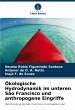 Ökologische Hydrodynamik im unteren... - Bild 1