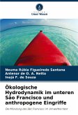 Ökologische Hydrodynamik im unteren São Francisco und anthropogene Eingriffe