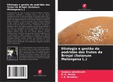 Etiologia e gestão da podridão dos frutos da Brinjal (Solanum Melongena L.)