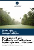 Management von Parthenium (Parthenium hysterophorus L.) Unkraut