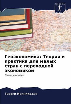 Cover Geoäkonomika: Teoriq i praktika dlq malyh stran s perehodnoj äkonomikoj
