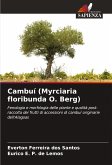 Cambuí (Myrciaria floribunda O. Berg)