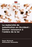 La maternité de substitution en Occident : Donner naissance à l'ombre de la loi