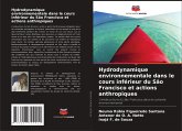 Hydrodynamique environnementale dans le cours inférieur du São Francisco et actions anthropiques