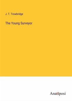 The Young Surveyor - Trowbridge, J. T.