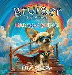 Bruiser the Brave and the Rainbow Bridge