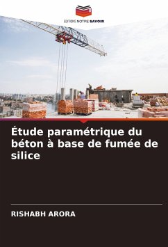 Étude paramétrique du béton à base de fumée de silice - Arora, Rishabh