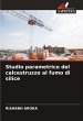 Studio parametrico del calcestruzzo al... - Bild 1