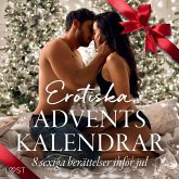 Erotiska adventskalendrar - 8 sexiga berättelser inför jul (MP3-Download)