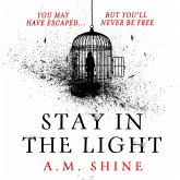 Stay in the Light (MP3-Download) Stay in the Light (MP3-Download)