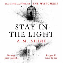 Stay in the Light (MP3-Download) - Shine, A.M.