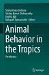 Animal Behavior in the Tropics - Bild 1