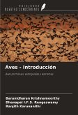 Aves - Introducción