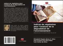 Indices de végétation pour l'analyse de la dégradation de l'environnement - Regina Alves C. Silva, Elisabeth; Da Silva Melo, José Gustavo; Da Silva, Luiz Carlos