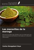 Las maravillas de la moringa