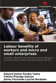 Labour benefits of workers and micro and small enterprises