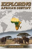 Exploring Africa's Destiny