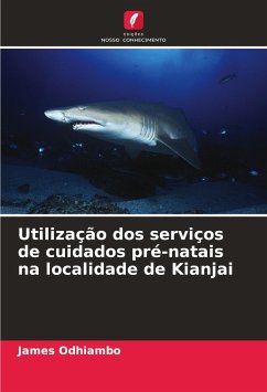 Utilização dos serviços de cuidados pré-natais na localidade de Kianjai - Odhiambo, James