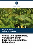 Welke von Spitzkürbis, verursacht durch Fusarium sp. und ihre Behandlung