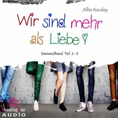 Sammelband Teil 1 - 5 - Wir sind mehr als Liebe (MP3-Download) - Kinsley, Allie