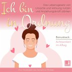 Ich bin in Ordnung - Das Lebensgesetz von Ursache und Wirkung nutzen und Anziehungskraft stärken / inkl. Achtsamkeit im Alltag / Introspektion (MP3-Download)