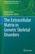 The Extracellular Matrix in Genetic... - Bild 1