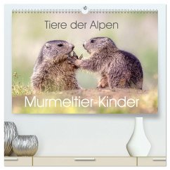 Tiere der Alpen - Murmeltier-Kinder (hochwertiger Premium Wandkalender 2025 DIN A2 quer), Kunstdruck in Hochglanz