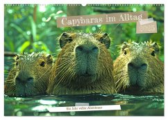 Capybaras im Alltag - Ein Jahr voller Abenteuer (Wandkalender 2025 DIN A2 quer), CALVENDO Monatskalender - Kowalski, Rupert