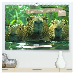 Capybaras im Alltag - Ein Jahr voller Abenteuer (hochwertiger Premium Wandkalender 2025 DIN A2 quer), Kunstdruck in Hochglanz - Kowalski, Rupert